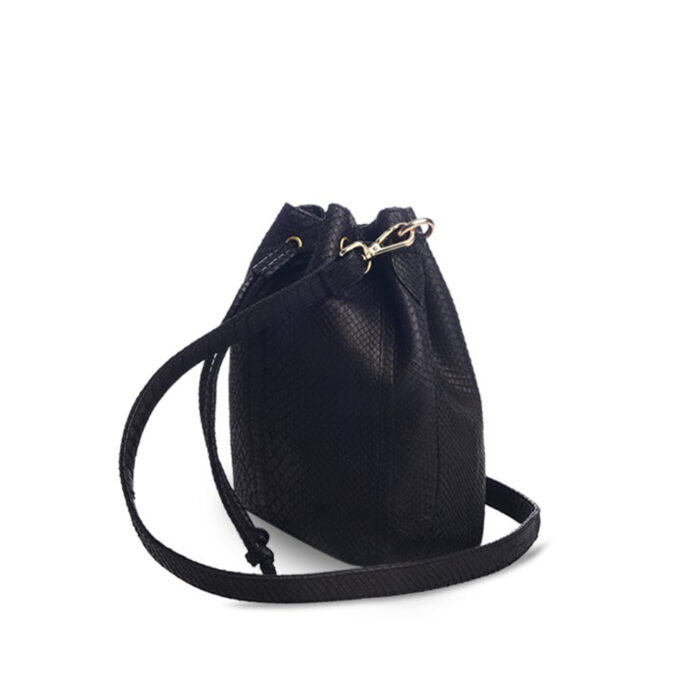 CAROLINA IN EXOTIC - Image 2